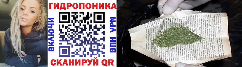 Где купить Павловск КОКАИН A-PVP Меф АМФЕТАМИН Бошки Шишки Гашиш