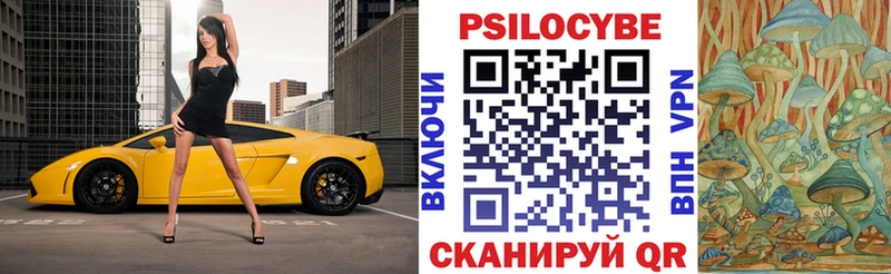 Псилоцибиновые грибы Psilocybine cubensis  купить наркоту  Павловск 